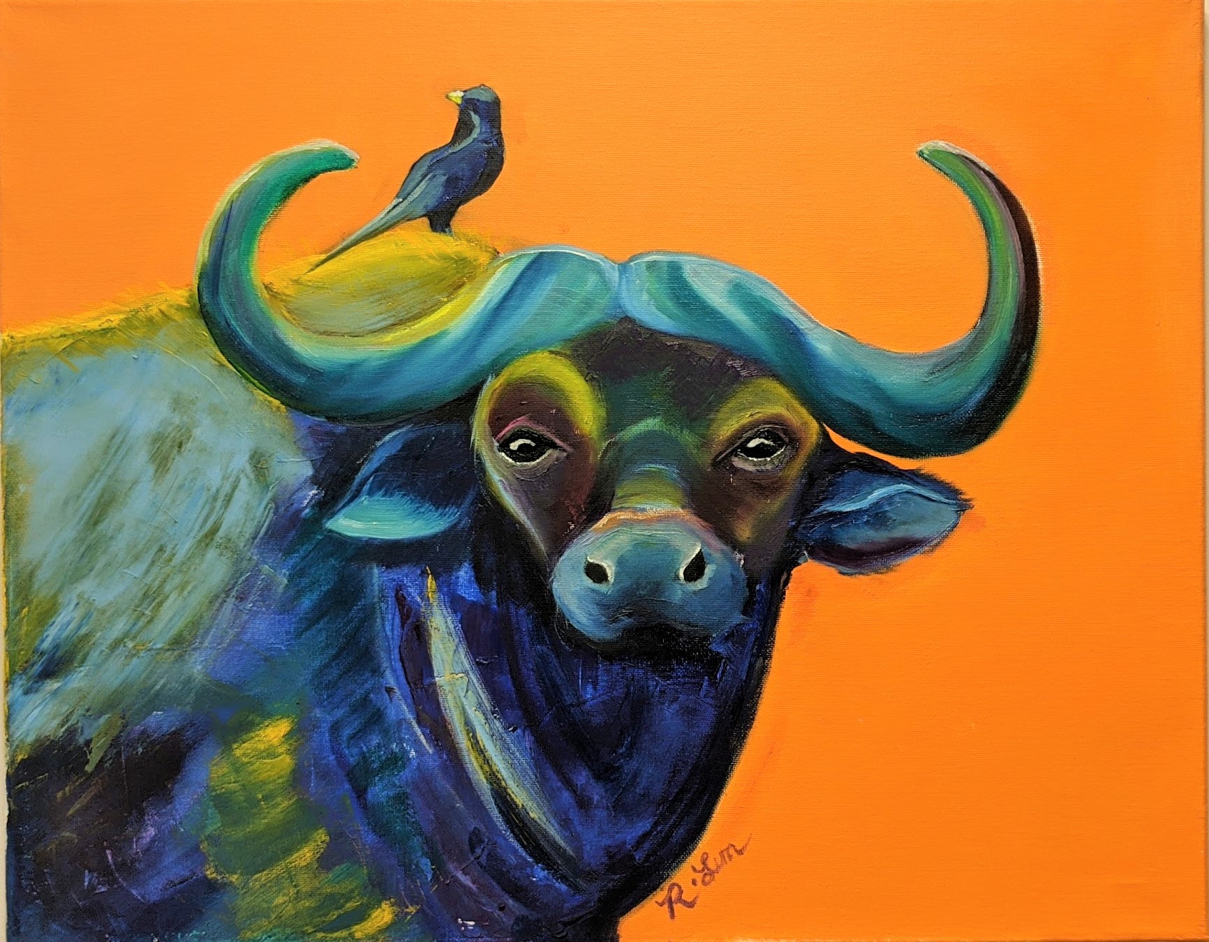 Orange Buffalo, Rachelle’s brightly colored buffalo portrait against an orange background