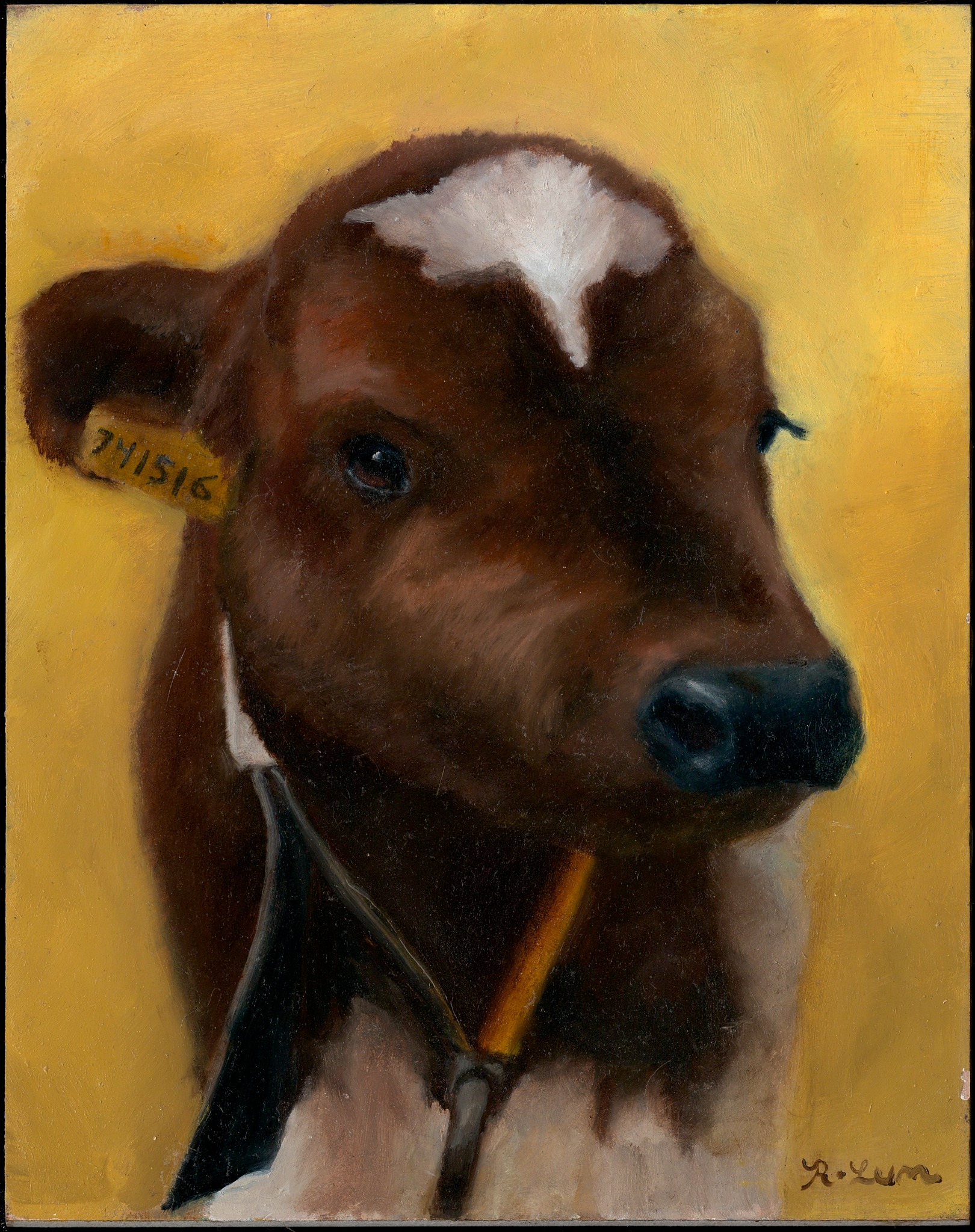 The Calf, Rachelle’s brown calf portrait against a yellow background